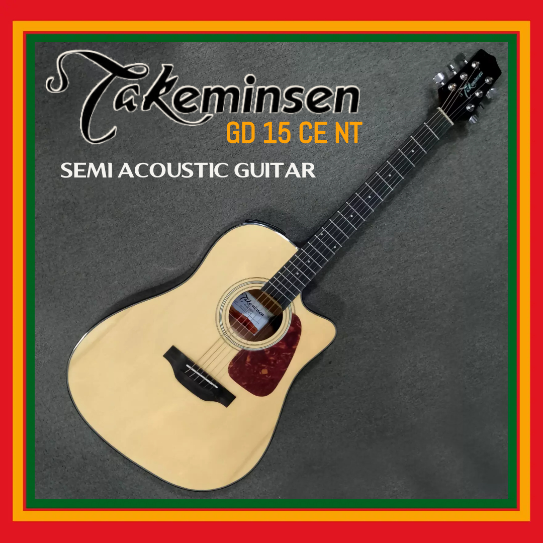 Takeminsen GD 15CE Semi Acoustic Guitars - Natural